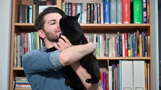 Quando prendi un gatto