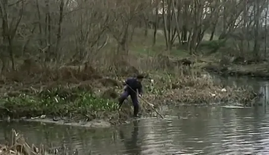 La mitad del cielo (1986)