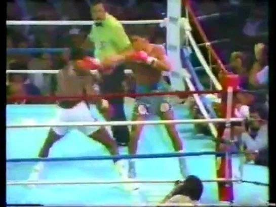 1986-09-26 Hector «Macho» Camacho vs Cornelius Boza-Edwards (WBC Lightweight Title)