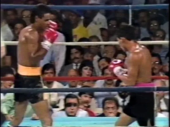 1983-11-18 Hector «Macho» Camacho vs Rafael Solis (WBC Super Featherweight Title)