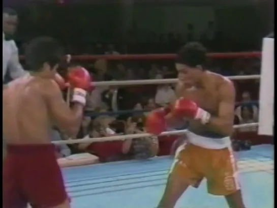 1982-08-28 Hector «Macho» Camacho vs Johnny Sato