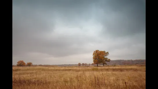 Александр Струков - Как ветра осенние (А.Башлачёв)