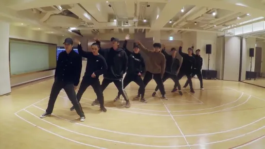 EXO Electric Kiss Dance Practice