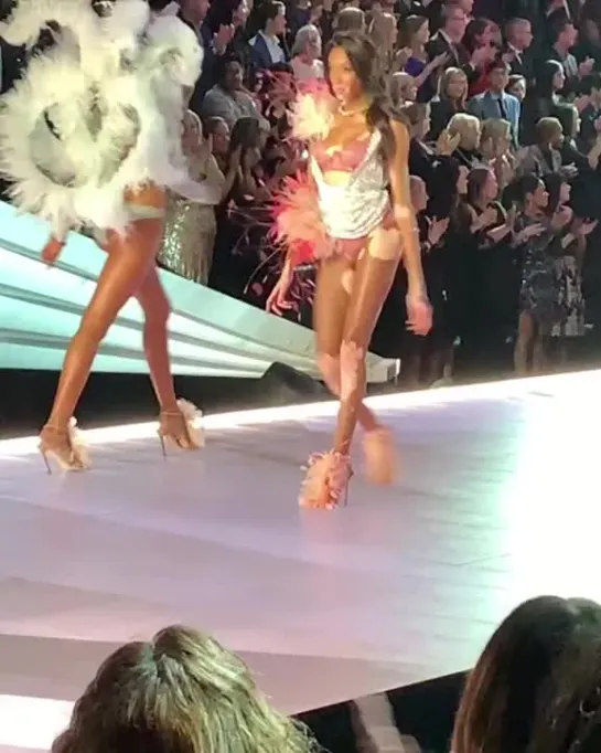 VSFS 2018 Winnie