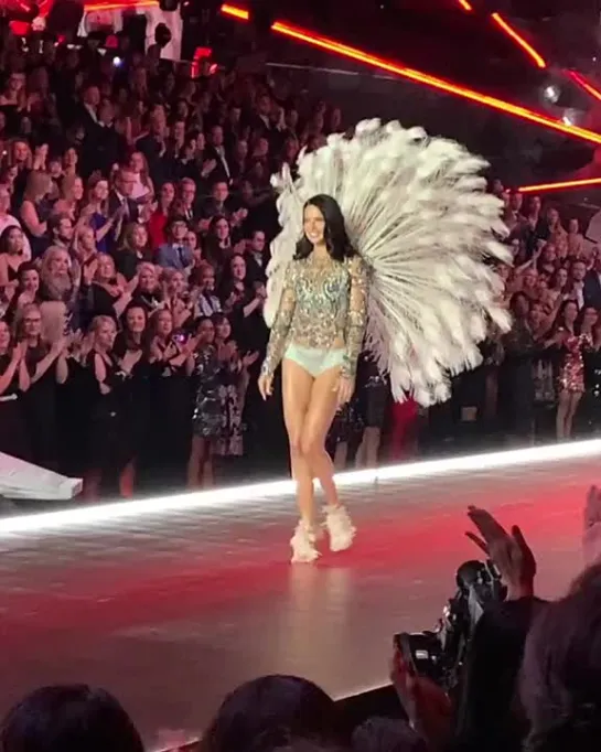 VSFS 2018 Adriana