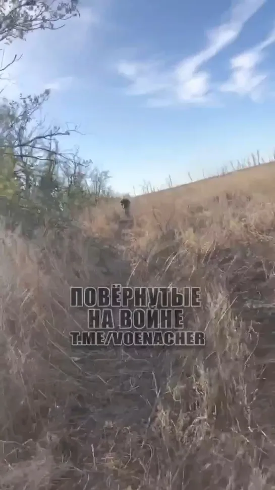 Видео от Политика