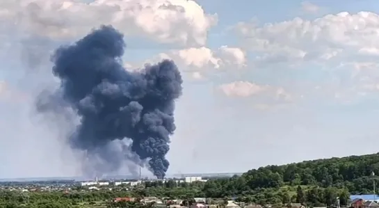 Видео от Политика