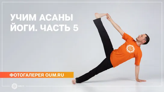 Учим асаны йоги. Часть 5 - Фотогалерея oum.ru