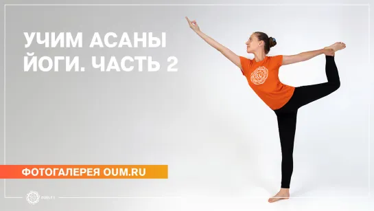 Учим асаны йоги. Часть 2 - Фотогалерея oum.ru