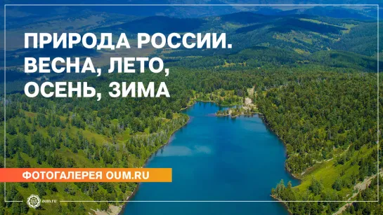 Природа России. Весна, лето, осень, зима - Фотогалерея oum.ru