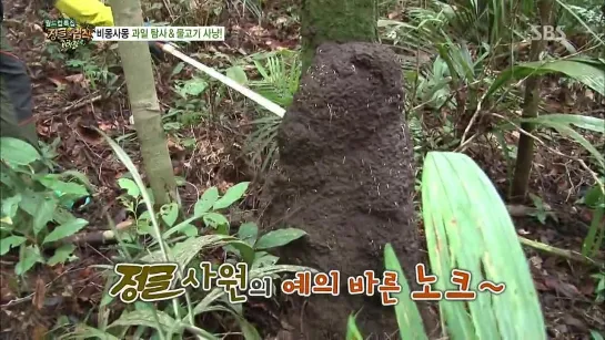 160514 Law Of The Jungle in Brazil (Ep.109) [2]