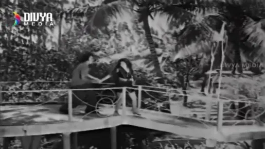 "Seethapathi Samsaram" 1978 Telugu Movie  Video Songs Jukebox  Chandra Mohan  Prabha  Allu Ramalingaiah