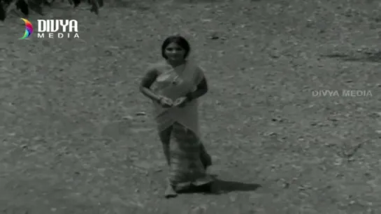 "Kanne Vayasu" 1973 Telugu Movie  Full Video Songs Jukebox  Roja Ramani  Sharath Babu  Divya Media