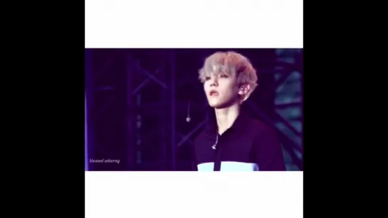 exo baekhyun