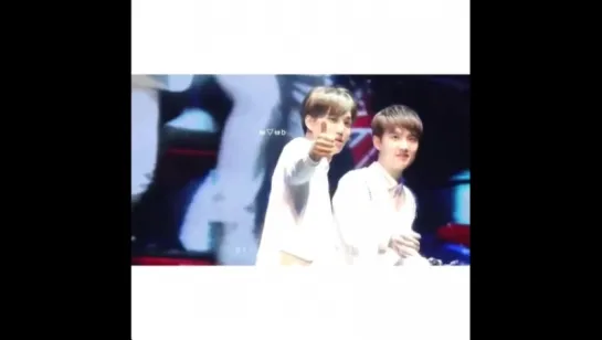 kaisoo