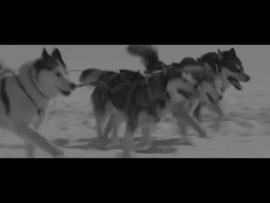 Белый плен [Eight Below] 2006