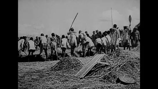 Tu gdzie zyjemy AKA Where We Live (1962) Kazimierz Karabasz & Lidia Zonn