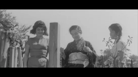 The Insect Woman - La mujer insecto (1963 ) Shōhei Imamura - subtitulada