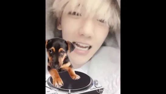 [VIDEO] 151010 @ baekhyunee_exo instagram update