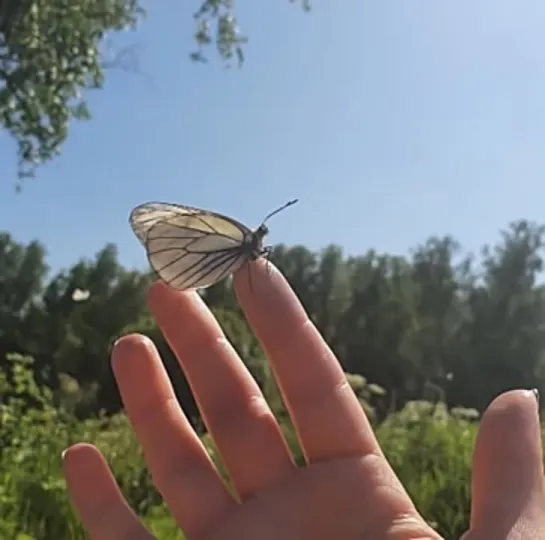 Вводное видео по теме подключек. Виды подключек, формы воздействия, объявление с