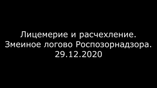 #SLOVORUSINFO Лицемерие и расчехление. Змеиное логово Роспозорнадзора. 29.12.202