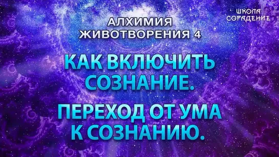 Как включить сознание АлхимияЖивотворения4 Гарат безопасность ЖивыеСеминары