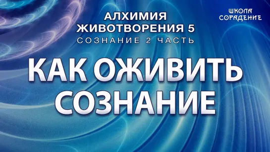 Как оживить сознание АлгоритмикаСознания2 Гарат АЖ5 Сознание ЖивыеСеминары школаСорадение