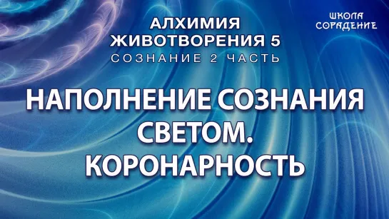 Наполнение сознания светом Коронарность Гарат АЖ5 Сознание ЖивыеСеминары школаСорадение