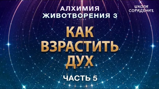 Как взрастить Дух #АлхимияЖивотворения3 #Гарат #дух #ЖивыеСеминары [fPkh_oQbnw8]