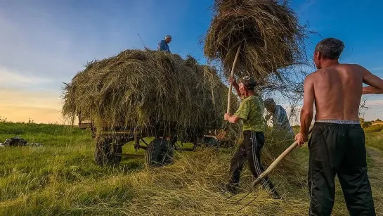 В поисках выхода из мышиного рая и золотого ключика