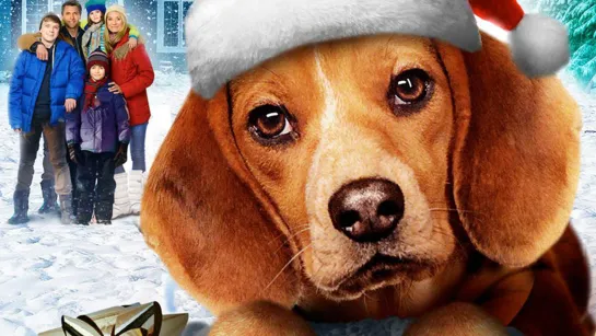 Шелби: Пес, который спас Рождество / Shelby: The Dog Who Saved Christmas (2014 Канада) комедия дети в кино