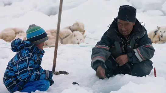 Год в Гренландии / Une annee polaire / Une année polaire  (2018 Франция) драма приключения дети в кино