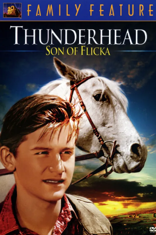 Грозовая туча – сын Флики / Thunderhead - Son of Flicka (1945 США) драма дети в кино