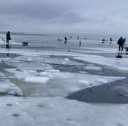 Рыбаки на заливе