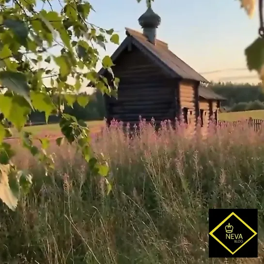 Природный парк «Вепский лес»