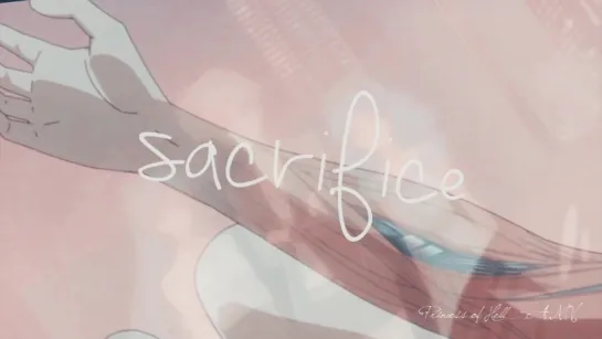 Sailor Moon Crystal season 3 AMV- Sacrifice