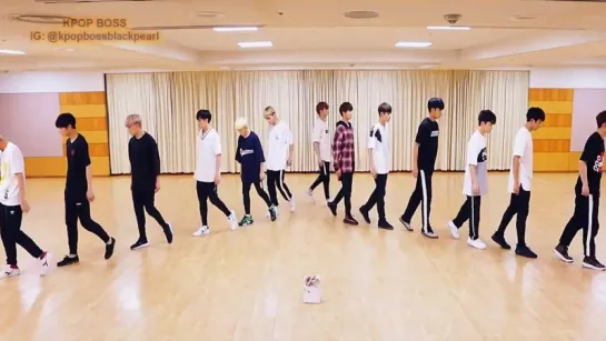 MICHAEL JACKSON x SEVENTEEN_ DONT WANNA CARE ABOUT US! [Video Song Mash Up]