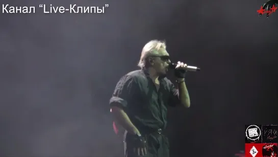 АлисА ღ Экспериментатор  [Live-клип]