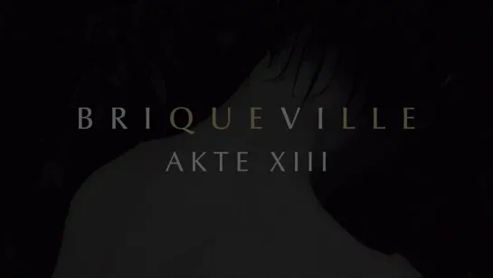 Briqueville - Akte XIII [Official Audio] 2020