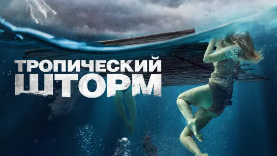 Тропический шторм / The Requin (2022) /Avaros/