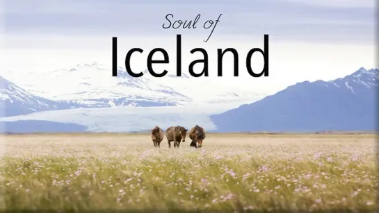 Душа Исландии / The Soul of Iceland (2018) /Avaros/