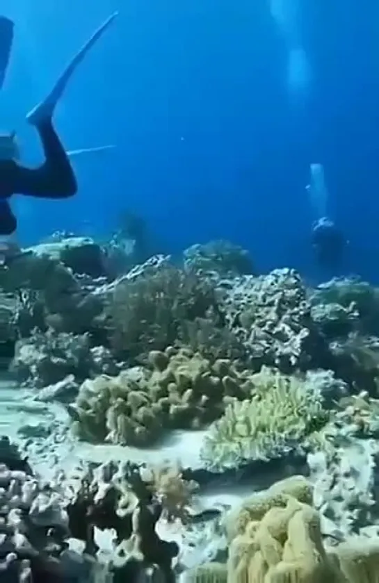 Как сильное землетрясение выглядит под водой