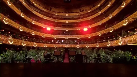 Directo de Espana La Ópera - Опера для растений