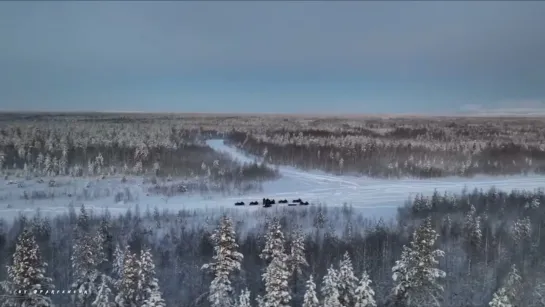 Видео от Мурманск