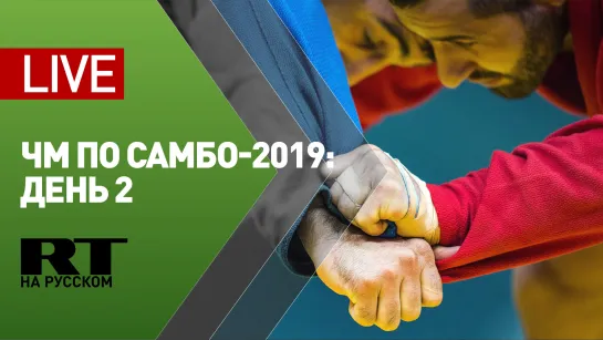 Чемпионат мира по самбо — 2019 в Сеуле. День 2