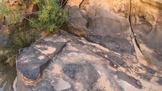 The Guelta of Tamaghit - Swimming in the Sahara Desert in Algeria 4К ( купание в пустыне Сахара в Алжире