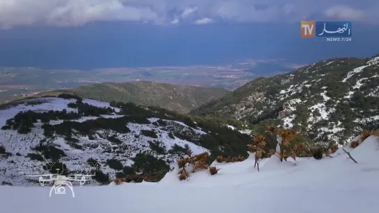 Cold Mountains - Chrea BLIDA by Drone