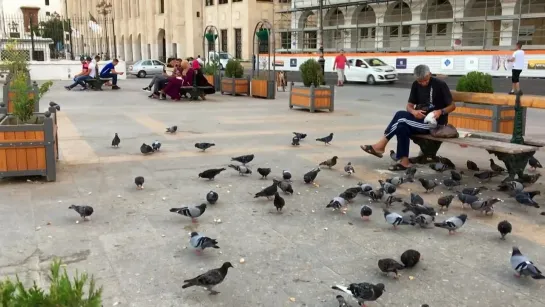 A Walk in Algiers The Capital of Algeria