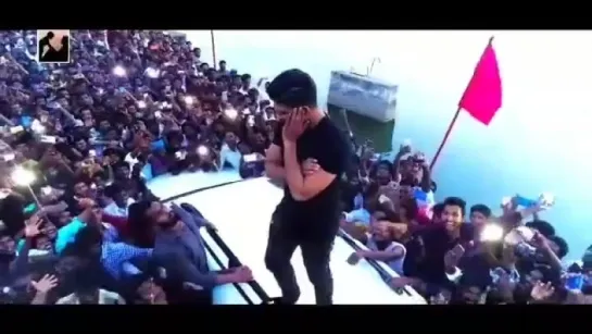 AlluArjun Fans - AlluArjun craze at peaks