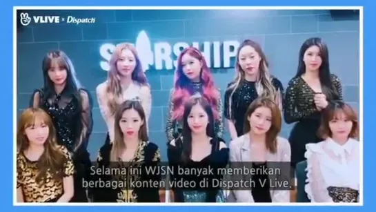 [Message] 190313 Greeting for Vlive Indonesia @ Cosmic Girls